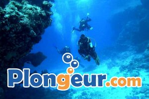 Plongeur